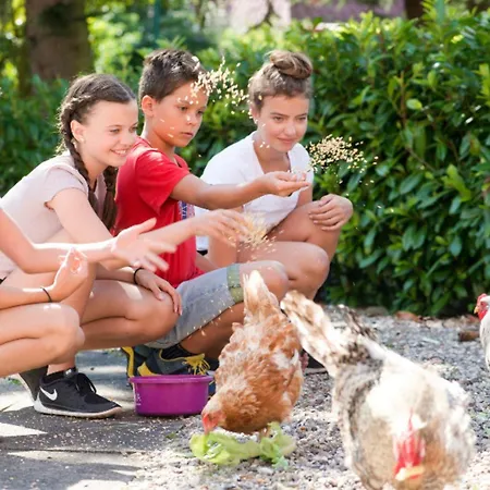 502 Strandruhe Appartement *