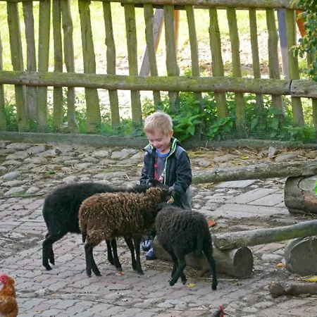 502 Strandruhe Appartement *