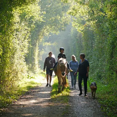 502 Strandruhe Appartement