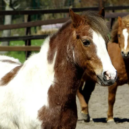 502 Strandruhe Appartement