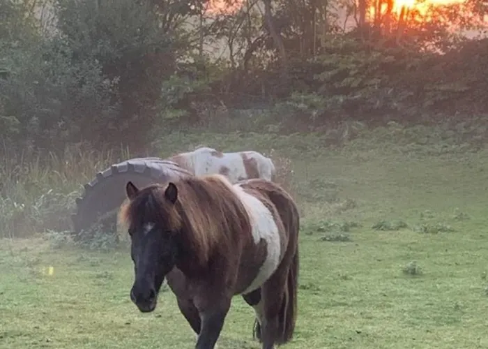 Appartement 502 Strandruhe Grömitz