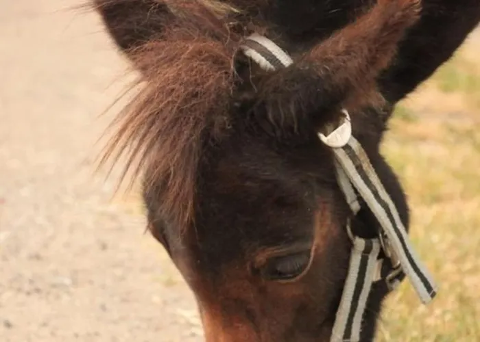 Appartement 502 Strandruhe *