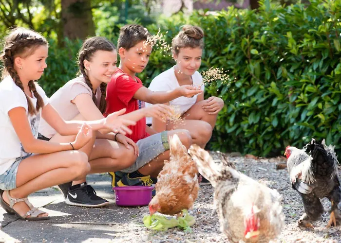 502 Strandruhe Appartement *