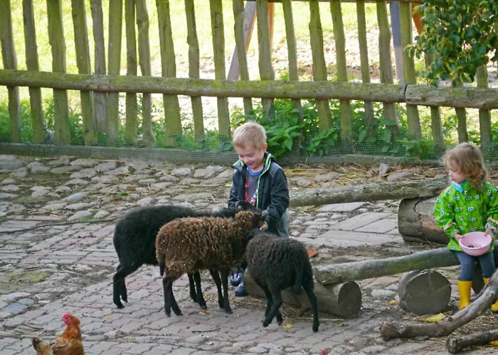 502 Strandruhe Appartement *