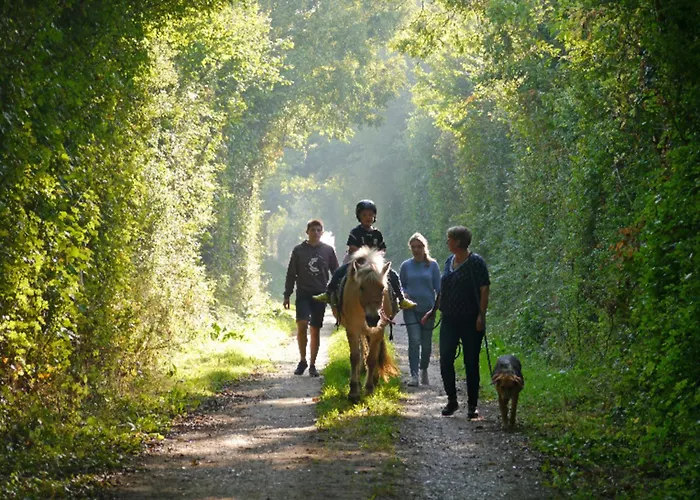 502 Strandruhe Appartement