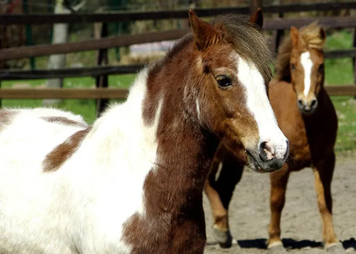 502 Strandruhe Appartement