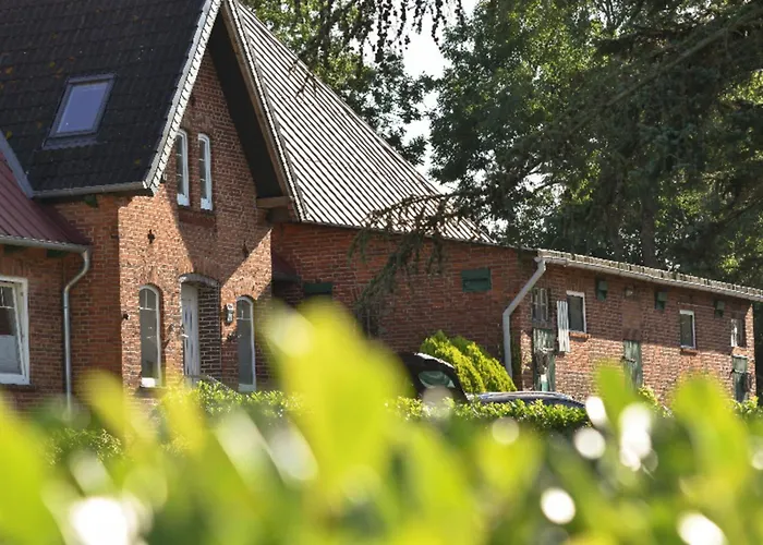 502 Strandruhe Appartement Grömitz