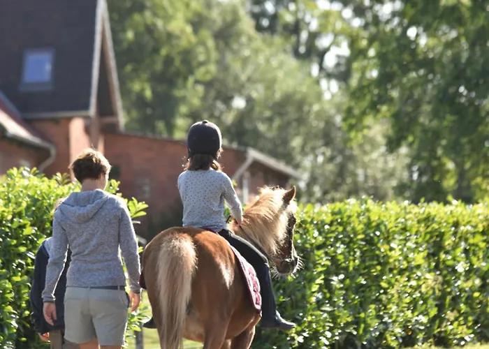 502 Strandruhe Appartement Grömitz