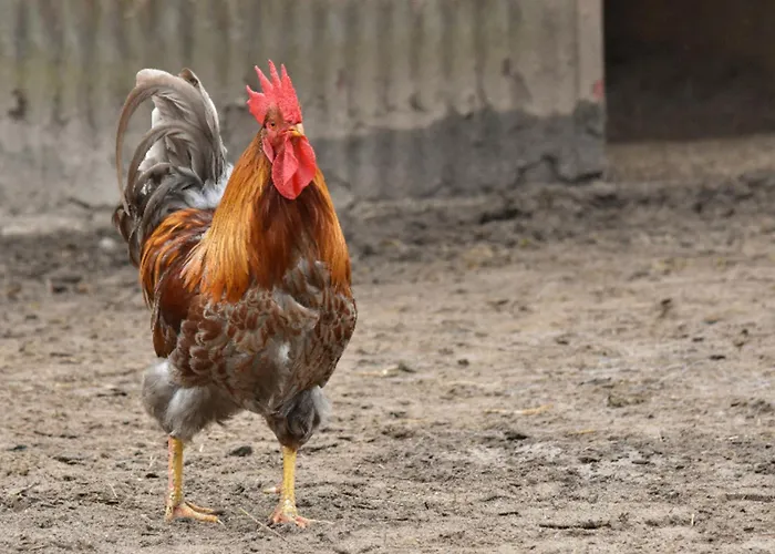 Appartement 502 Strandruhe *