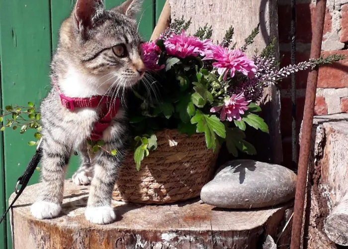 502 Strandruhe Grömitz